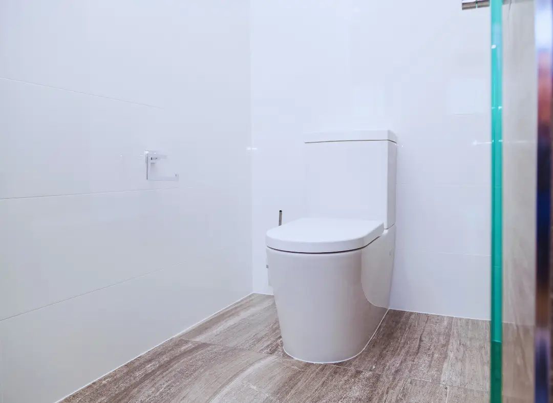 Remplacement de wc Epagny Metz-Tessy