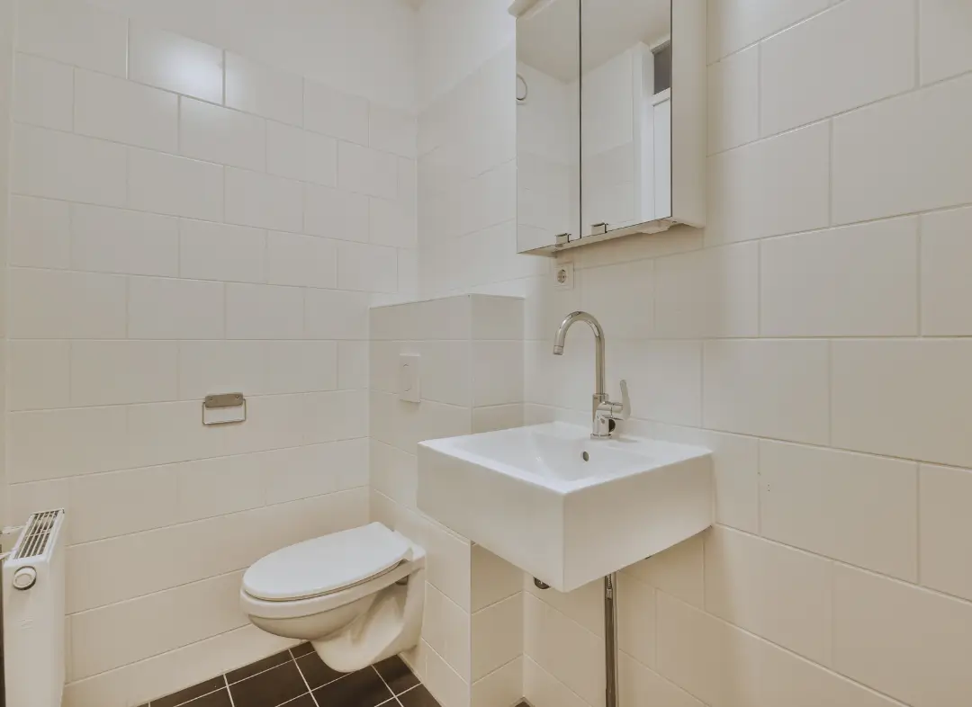 Pose WC Suspendu Epagny Metz-Tessy